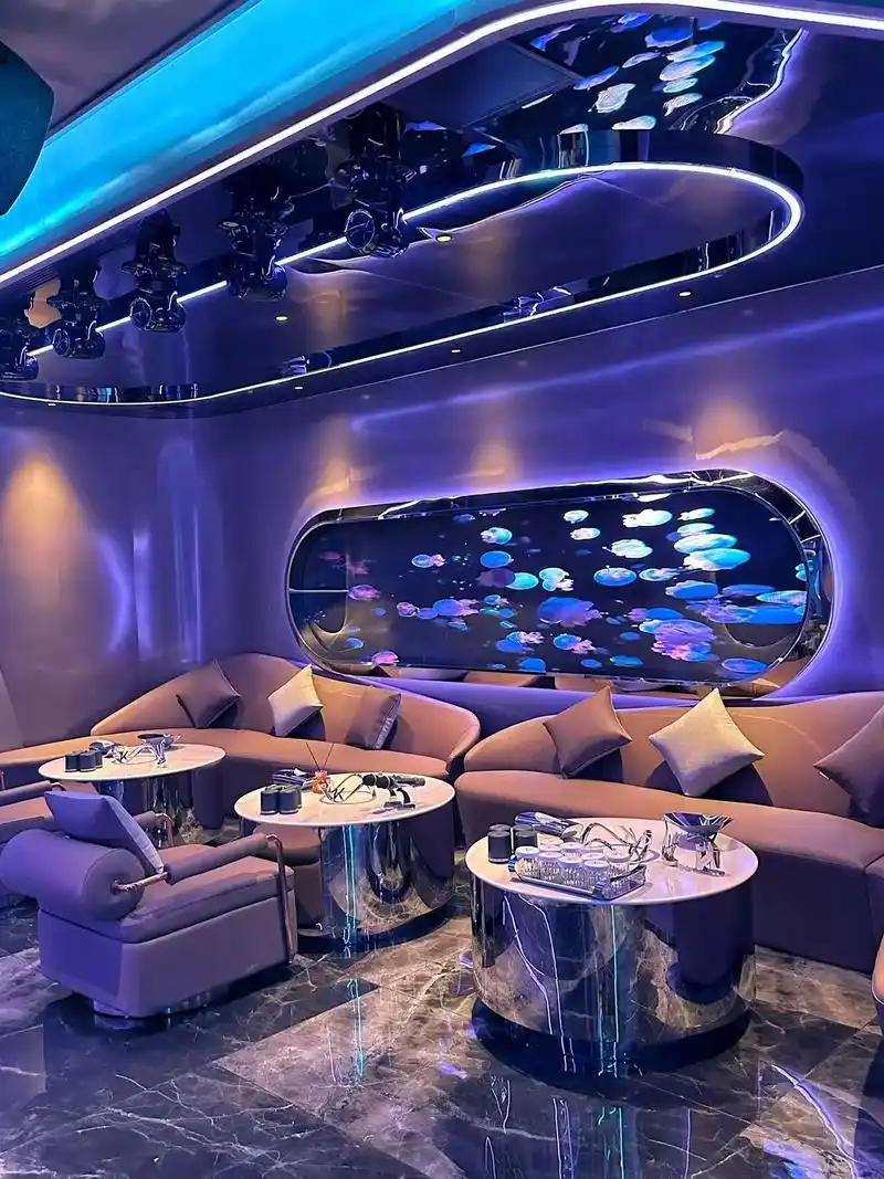 泉州商务ktv创新模式-晋江市ktv预定